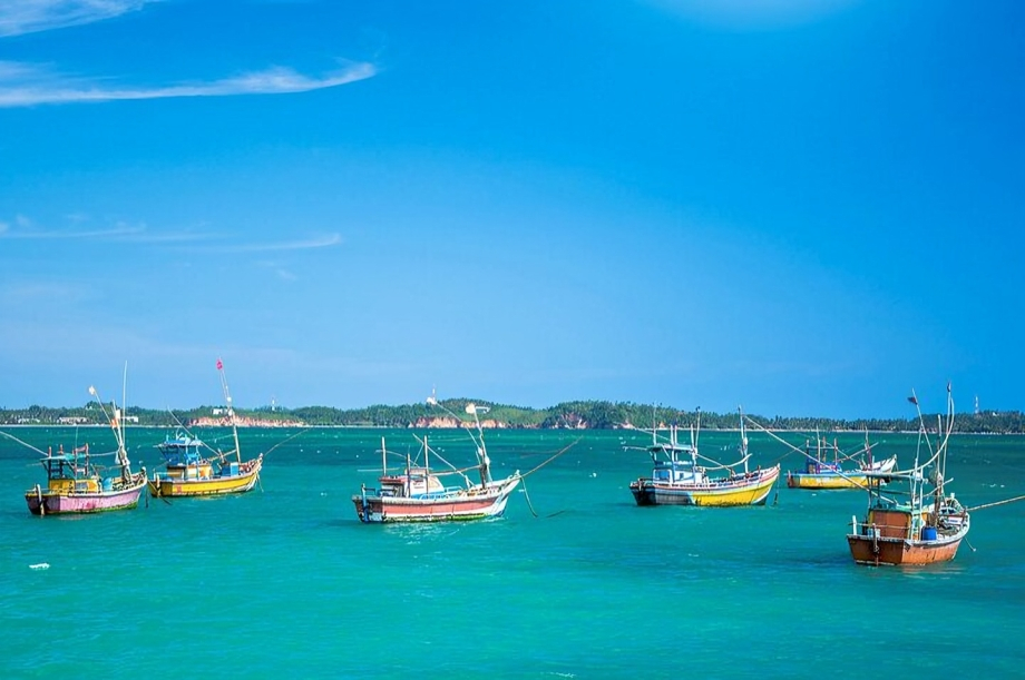 Negombo Lagoon Fishing