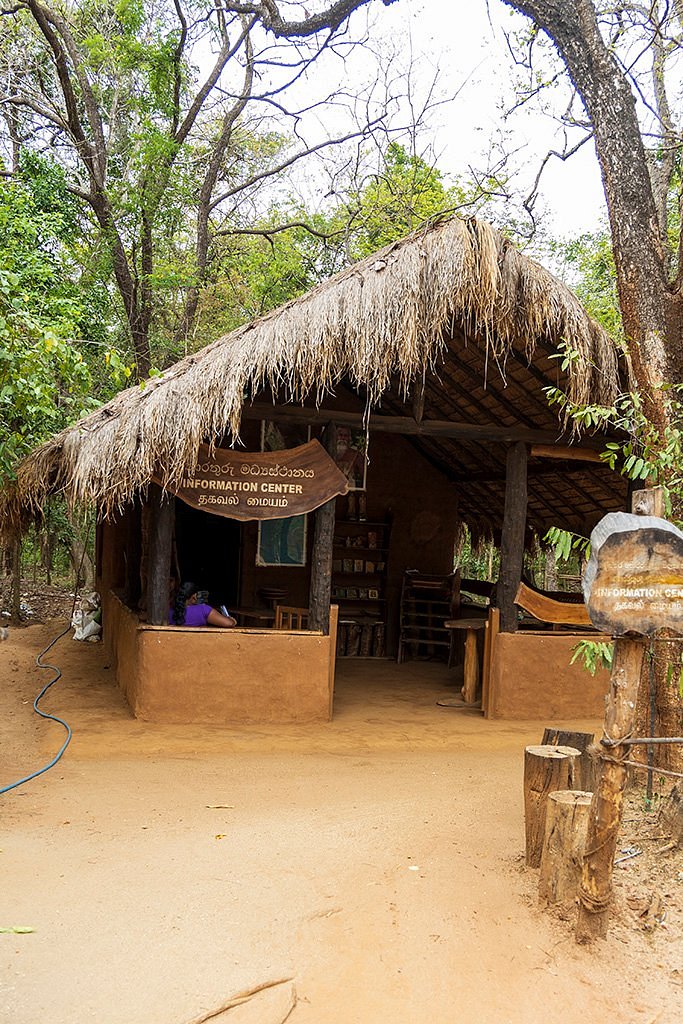 Veddha Village Tour
